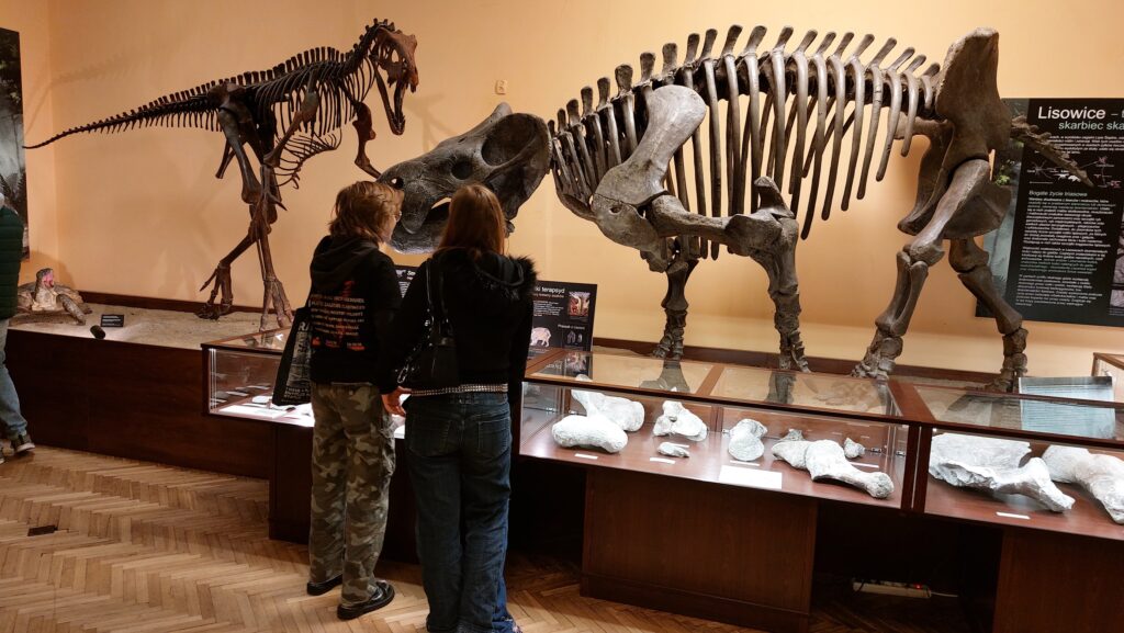 ewolucja SLO 23 liceum Pruszków 2 (2)